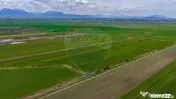 Teren EXTRAVILAN | 4,000mp Stupinii Prejmerului | COMISIO... 