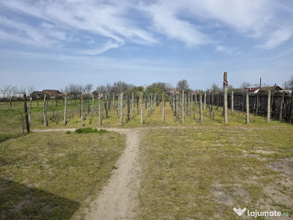 Casa comuna Celaru, sat Soreni, jud. Dolj