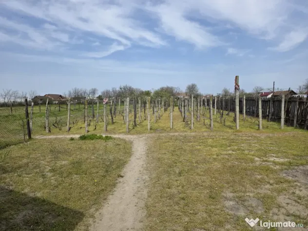Casa comuna Celaru, sat Soreni, jud. Dolj