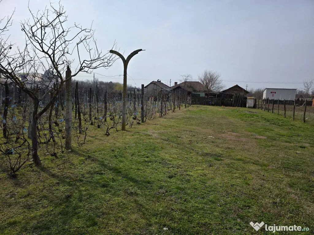 Casa comuna Celaru, sat Soreni, jud. Dolj