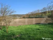 Casă de vânzare la țară – Sat Nandra, Comuna Bichiș, 