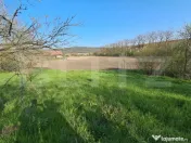 Casă de vânzare la țară – Sat Nandra, Comuna Bichiș, 