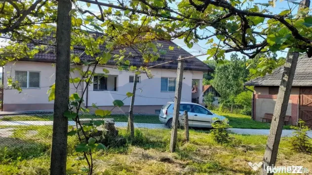 Benesat - DE VANZARE- GOSPODARIE la cheie