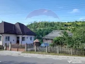 Benesat - GOSPODARIE utilata DE VANZARE 