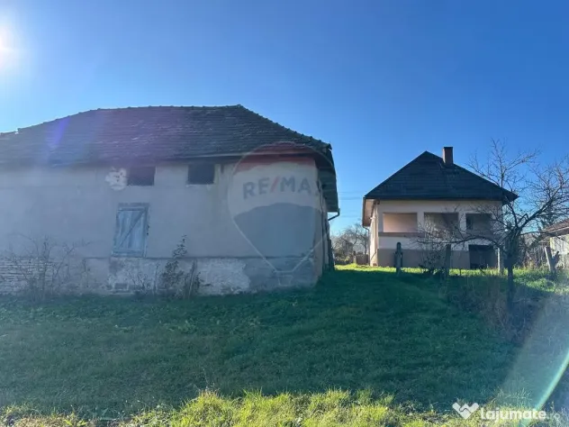 Benesat - GOSPODARIE utilata DE VANZARE