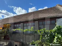 Casă veche cu teren generos în vatra veche Șag 