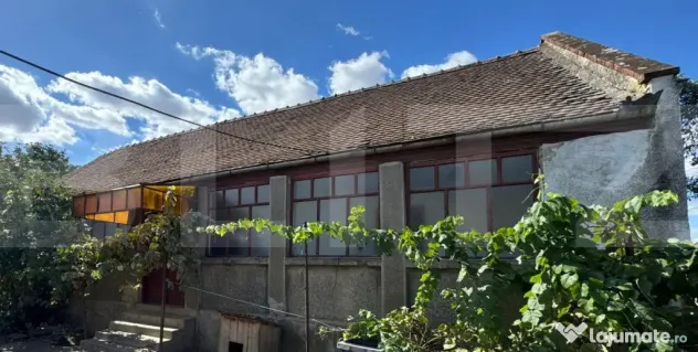Casă veche cu teren generos în vatra veche Șag