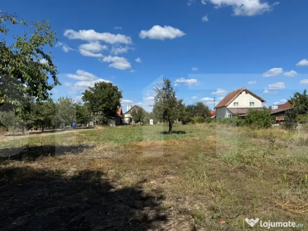 Casă veche cu teren generos în vatra veche Șag