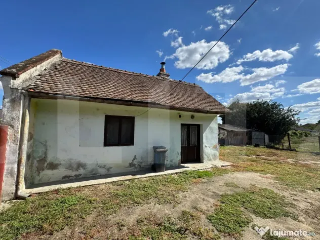 Casă veche cu teren generos în vatra veche Șag