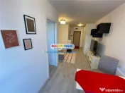 Garsoniera de inchiriat / Hils/ Theodor Pallady 