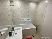 Garsoniera de inchiriat / Hils/ Theodor Pallady 