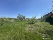 Teren 2775mp | gaz și canalizare | P+2+M| Olteni - Clinceni