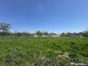 Teren 2775mp | gaz și canalizare | P+2+M| Olteni - Clinceni