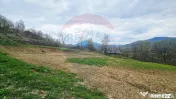 Teren de vanzare cu vedere la Ceahlău și Lacul Bicaz 