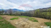 Teren de vanzare cu vedere la Ceahlău și Lacul Bicaz