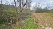 Teren de vanzare cu vedere la Ceahlău și Lacul Bicaz