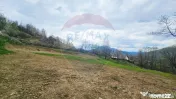 Teren de vanzare cu vedere la Ceahlău și Lacul Bicaz 