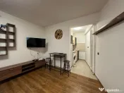 VIGAFON - Garsoniera Ultracentral 