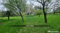 Teren in Baia Sprie de vanzare | Strada Closca