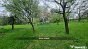 Teren in Baia Sprie de vanzare | Strada Closca 