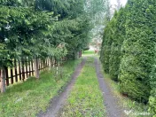 Casă de vacanță / cabană Câmpu Cetății – 2460 mp te 