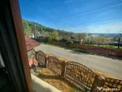 Proprietate 2 case,3 anexe,teren 3.233 m – Dârmănești A 