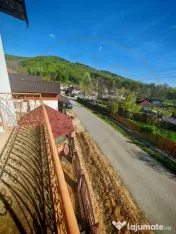 Proprietate 2 case,3 anexe,teren 3.233 m – Dârmănești A 