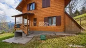 Cabana la munte în Arieseni-Ideală pentru vacanță sau... 