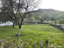 FIRIZA, oportunitate teren pentru constructie Casa
