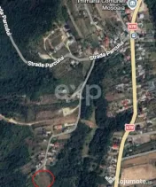Teren 3015 mp Moșoaia – lângă pădure, capăt de drum, 