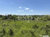 Teren 3015 mp Moșoaia | Zonă liniștită lângă pădure | 