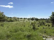 Teren 3015 mp Moșoaia | Zonă liniștită lângă pădure | 