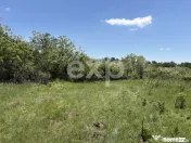 Teren 3015 mp Moșoaia | Zonă liniștită lângă pădure |