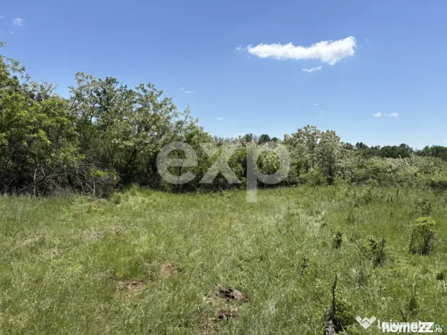 Teren 3015 mp Moșoaia | Zonă liniștită lângă pădure |
