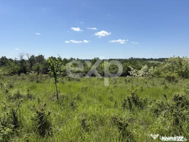 Teren 3015 mp Moșoaia | Zonă liniștită lângă pădure |