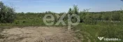 Teren 3015 mp Moșoaia – lângă pădure, capăt de drum, 