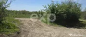 Teren 3015 mp Moșoaia – lângă pădure, capăt de drum, 