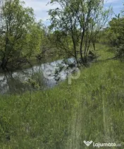 Teren 3015 mp Moșoaia – lângă pădure, capăt de drum, 