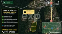 Teren 3015 mp Moșoaia | Zonă liniștită lângă pădure |