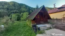 Teren cu cabanuta Pascoaia Brezoi Valcea 725mp