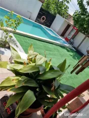 Vila 3 camere - Pensiune 9 camere-Eforie Nord 