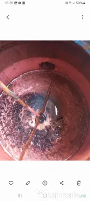 Vând cazan de rachiu 