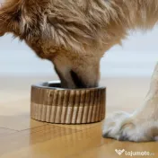 Bol Lemn Forest BRAUBRAU pentru Câini și Pisici 