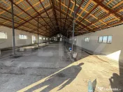 Hală 700 mp + Spațiu Comercial și Birouri, Curte 5000 mp, 