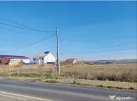 Teren Simnicu de sus - Dudovicesti Oportunitate de investit 