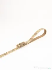 Signature Walk Set Maro BRAUBRAU pentru Câini 