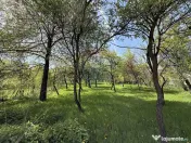 Casă de vânzare în zona Câmpulung înconjurată de na... 
