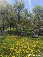 Casă de vânzare în zona Câmpulung înconjurată de na... 