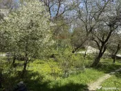 Casă de vânzare în zona Câmpulung înconjurată de na... 