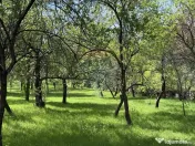 Casă de vânzare în zona Câmpulung înconjurată de na... 